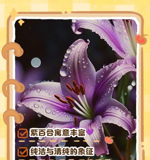 百合花语有哪些代表意义？