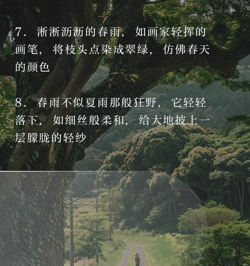 春雨的花语有哪些含义？春雨象征着什么？