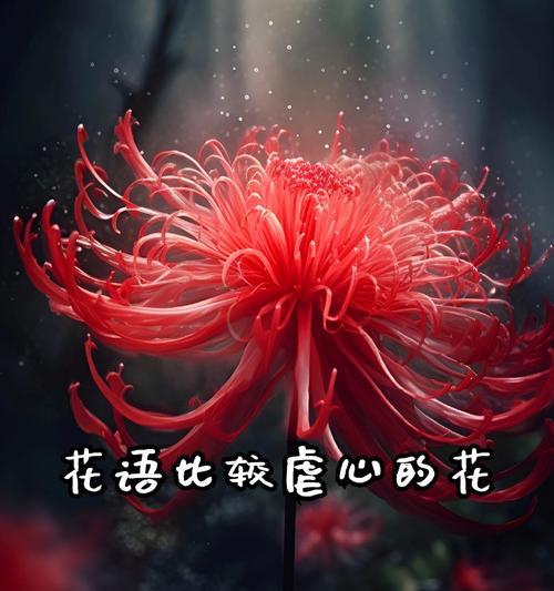 昙花的花语是什么？昙花的寓意有哪些？