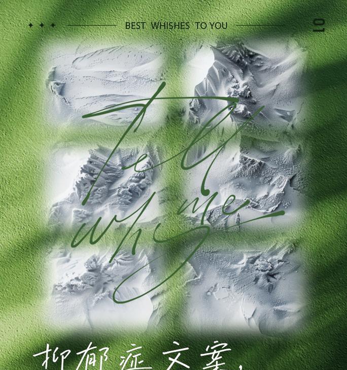 抑郁情绪下适合哪种花语？唯美花语如何表达抑郁？