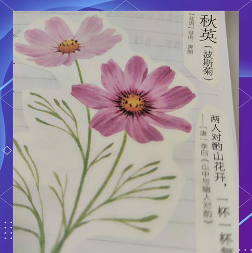 花语背后的故事是什么？花语如何讲述他们的故事？