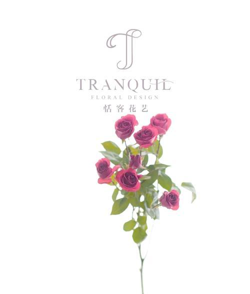 花语背后的故事是什么？花语如何讲述他们的故事？