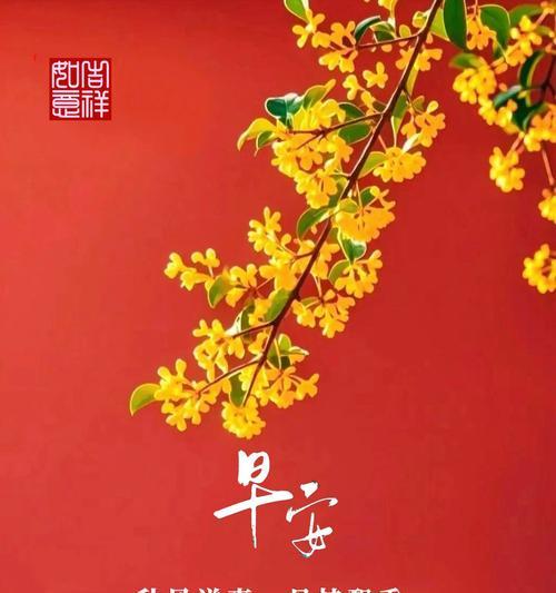 哪种花代表时光？时光花语的含义是什么？