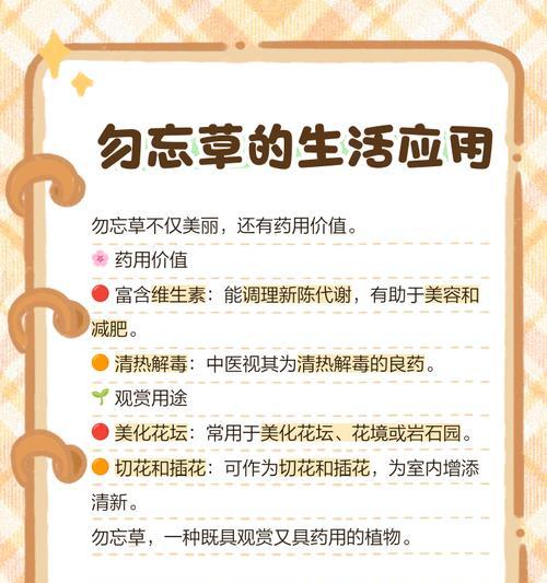白色勿忘草的花语是什么？它象征着什么？
