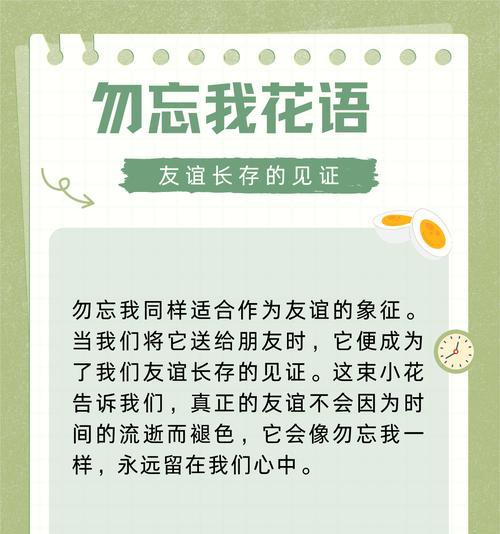 白色勿忘草的花语是什么？它象征着什么？