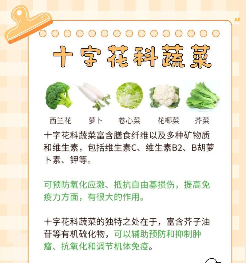 蔬菜也有花语吗？它们的花语分别是什么？