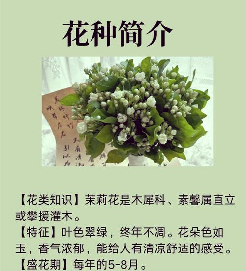 如何用花语表达浪漫爱情？哪些花代表爱情？