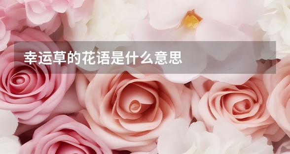 哪些花语寓意着幸运？幸运花语有哪些？
