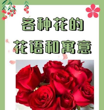 各种花的花语含义是什么？如何理解它们？