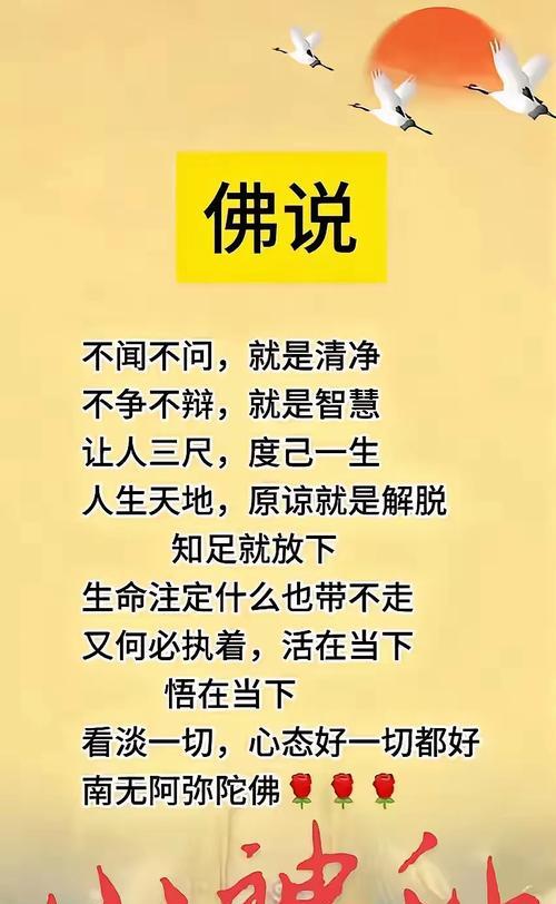 花语为执着的话有哪些？如何表达对某人的执着？
