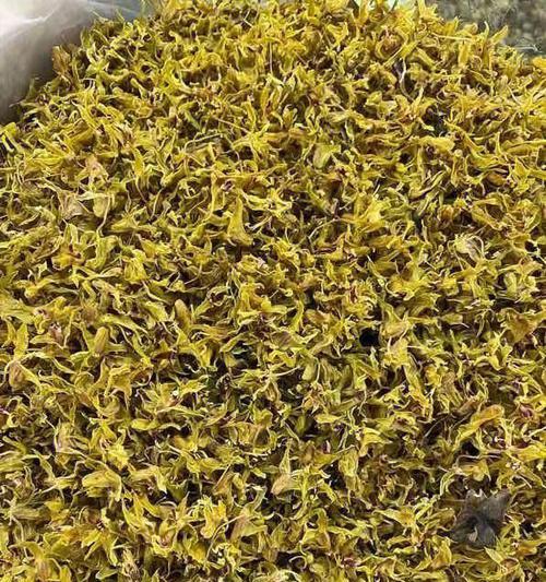 澳洲石斛花花语是什么？如何用石斛花传递情感？