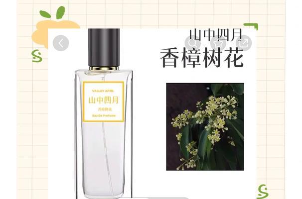 香樟花语是什么？如何用香樟花表达爱意？