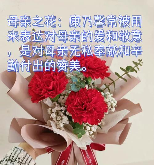 寓意好花的花语有哪些？如何用好花表达祝福？