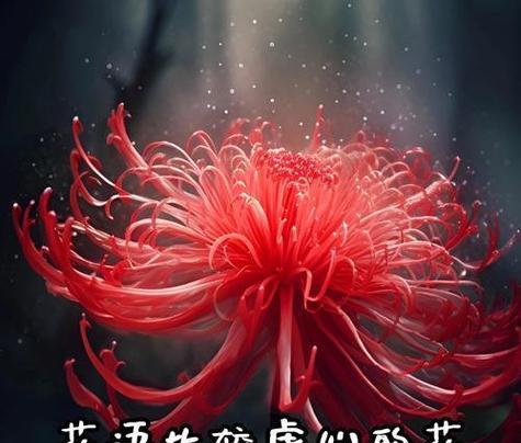 赞美植物的花语有哪些？如何用花语表达对植物的赞美？