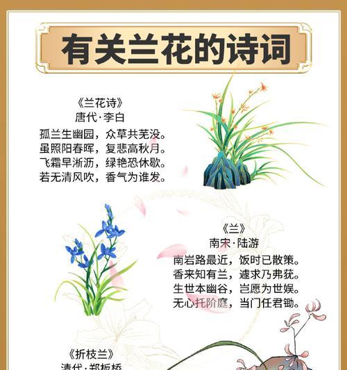 什么叫内涵花语？内涵花语的深层含义是什么？