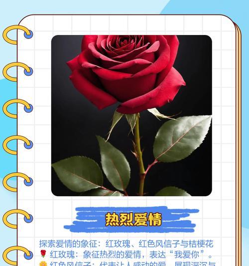 最爱是什么花语？哪种花语表达了最爱的情感？