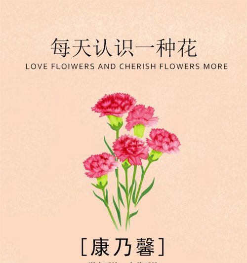 最爱是什么花语？哪种花语表达了最爱的情感？