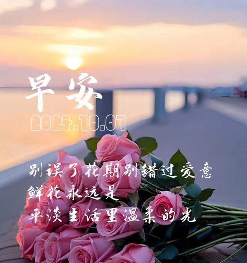 表达平淡的花语有哪些？如何用花语表达平淡的情感？