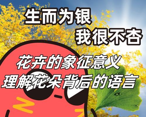 所有花卉的花语是什么？如何理解它们的含义？
