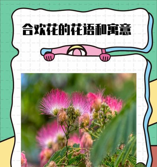 所有花卉的花语是什么？如何理解它们的含义？