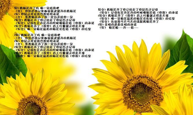 太阳雏菊的花语是什么？它传递了怎样的信息？