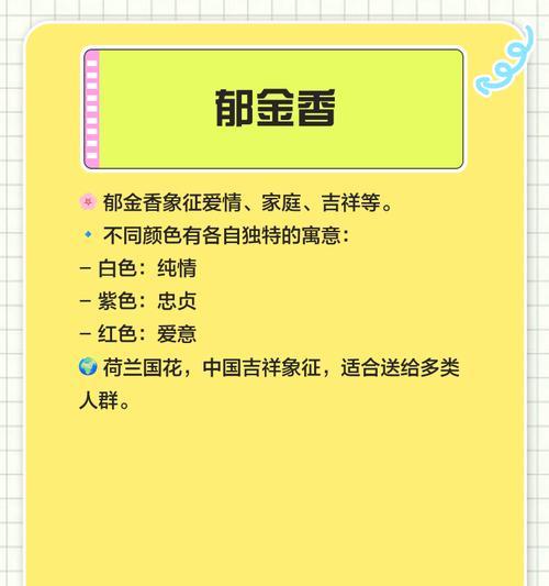 哪种花语最值得拥有？它们代表了什么意义？