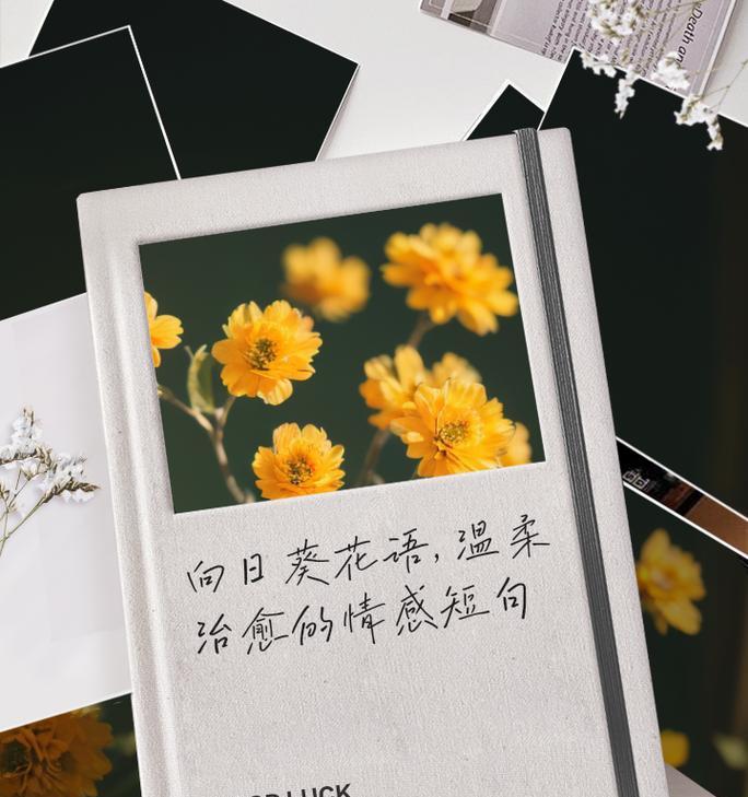 赞美花语的诗句有哪些？它们如何表达情感？