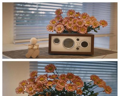 白色雏菊球的花语是什么？它有什么特别含义？