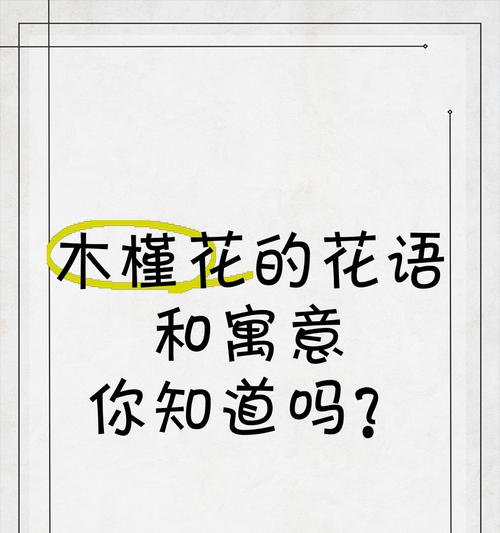 夏威夷木槿的花语是什么？它有什么特别含义？