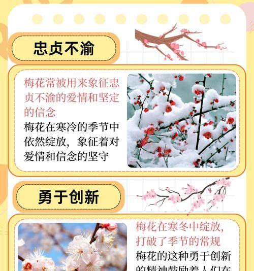 梅花树的传说花语是什么？它代表了哪些故事？