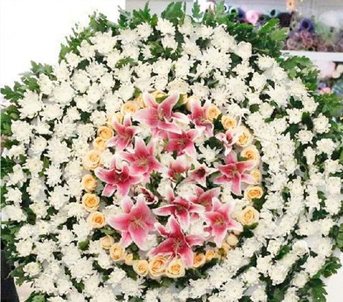 白色菊花球的花语是什么？白色菊花球代表什么？