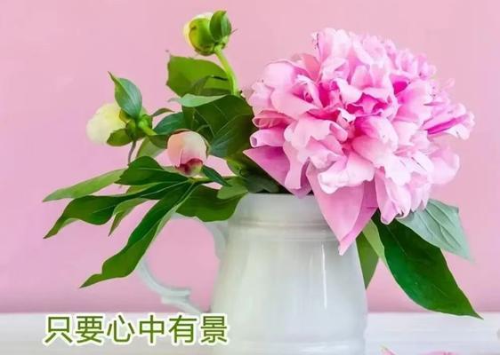 珍惜的花语是什么？哪种花代表珍惜？