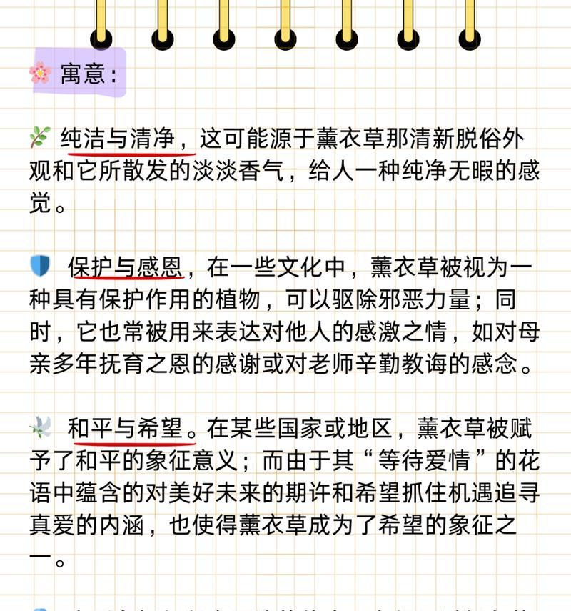 美好的期望花语是什么？哪种花代表美好的期望？