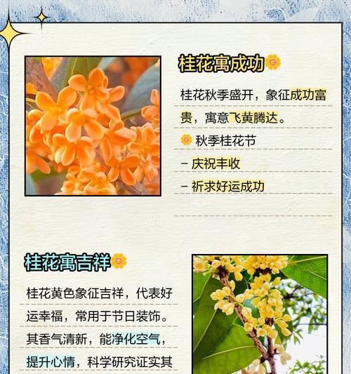 秋天之间花语有哪些？