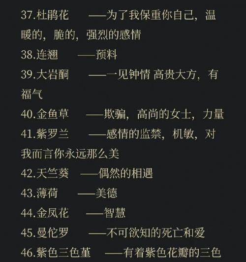 红枫花语代表了什么？