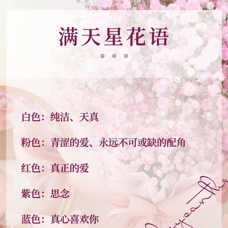 哪些花语适合恋爱？