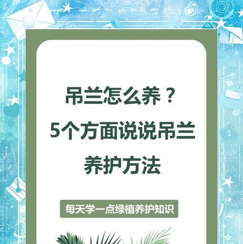 绿叶吊兰的花语是什么？