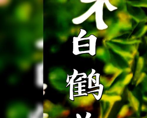 白鹤花语及其寓意是什么？