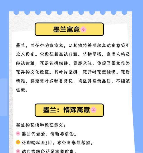 墨兰的花语小黄有何含义？