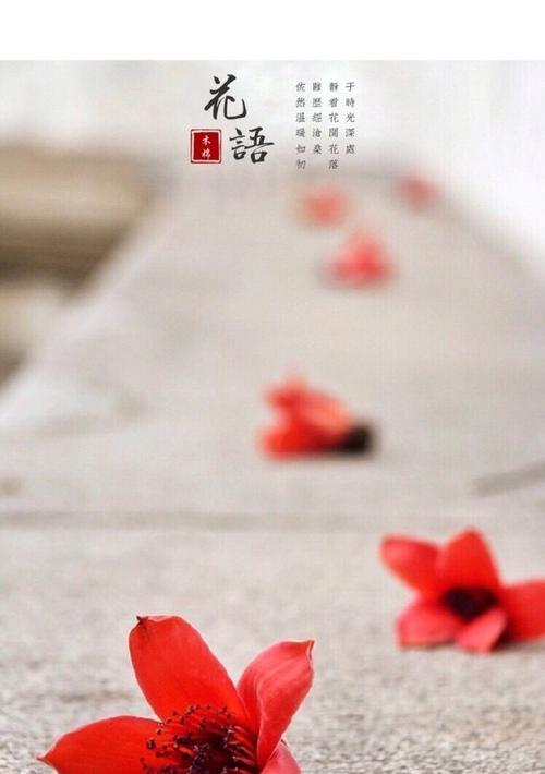 时光花语花落地是什么意思？它象征着什么？