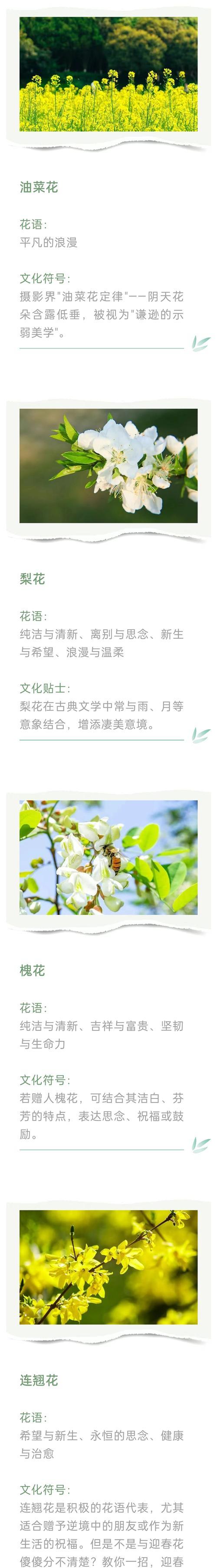哪些花语被认为是独特的？它们各自有何特色？