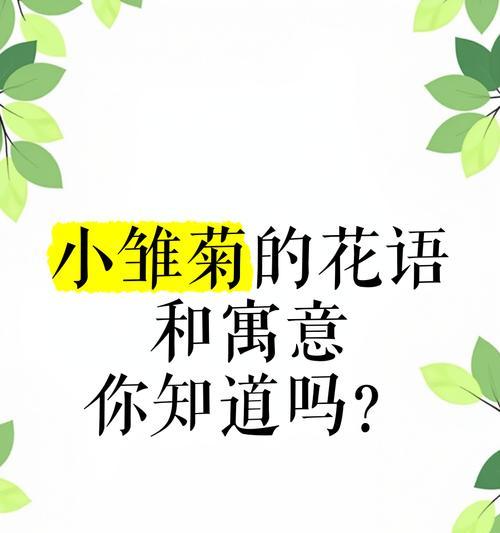 淡黄雏菊的花语有何含义？它代表了什么？