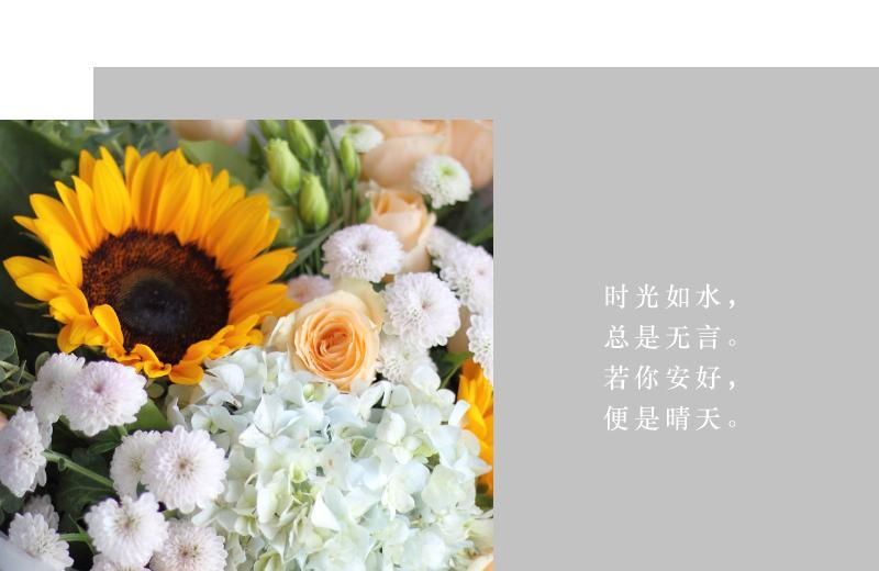 花语雏菊的说说代表什么？