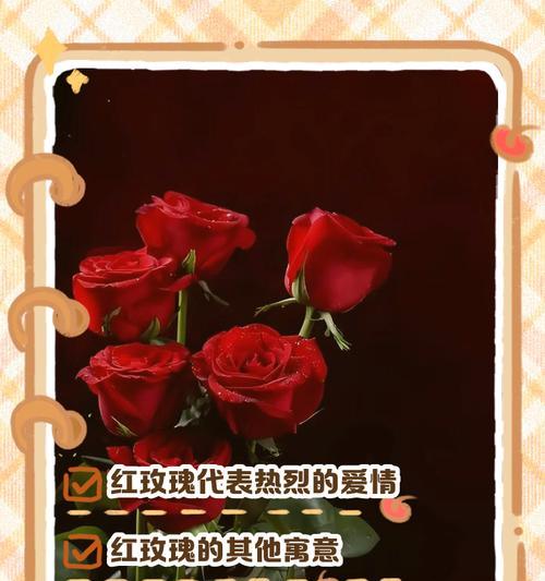 热恋的花语是什么？