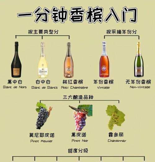 13支香槟花语有何特别含义？