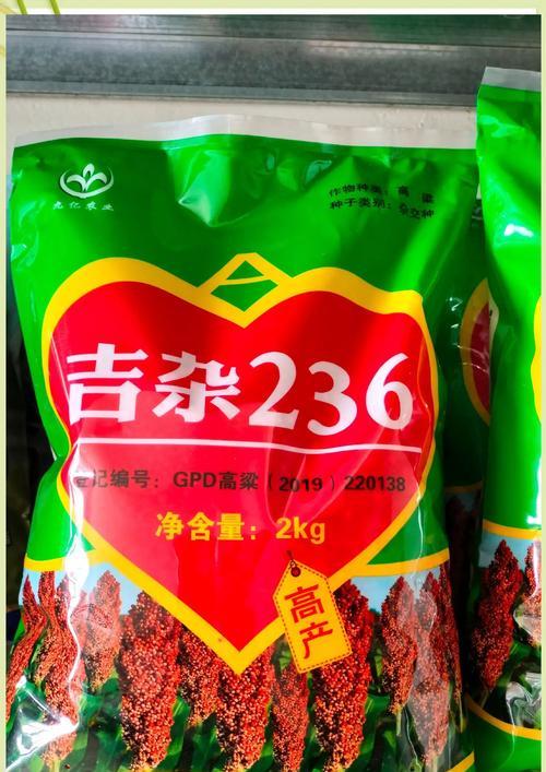高粱的花语代表什么？种植高粱有哪些要点？