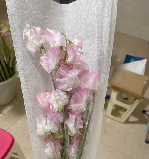 哪些花的花语代表着再见？如何正确表达？