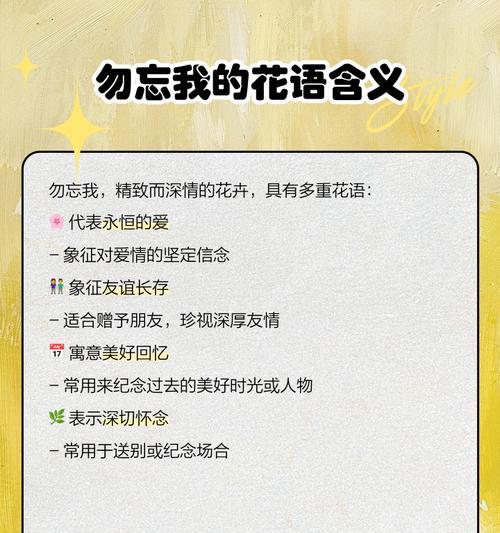 勿忘草的花语是什么？背后有哪些感人故事？
