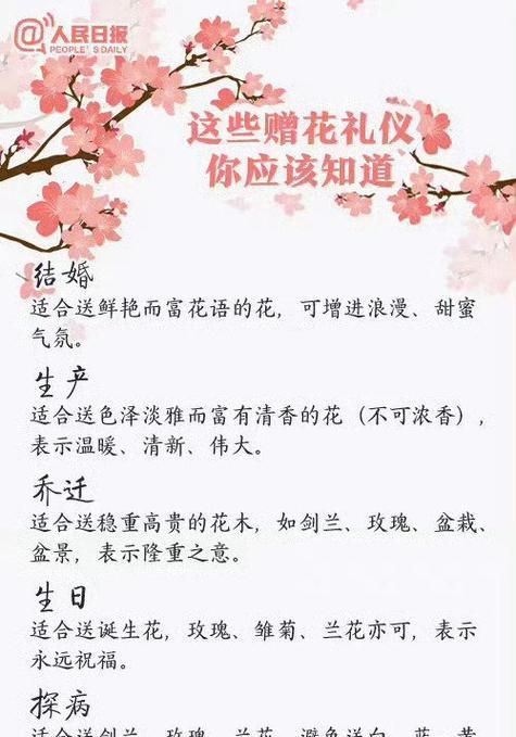 古代花语有哪些传说？如何通过花语了解历史？