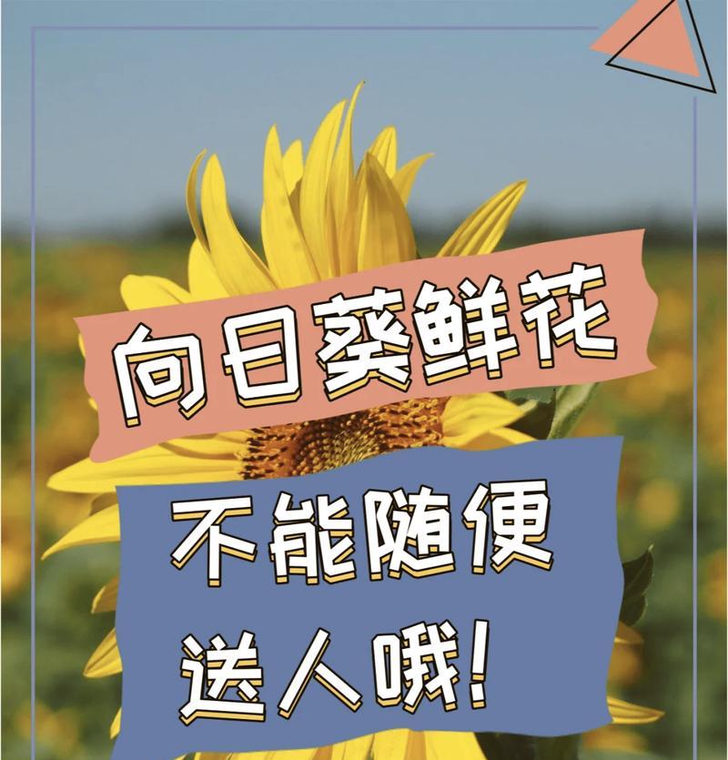 曾经最爱的花语是什么？如何用花语回忆过去？
